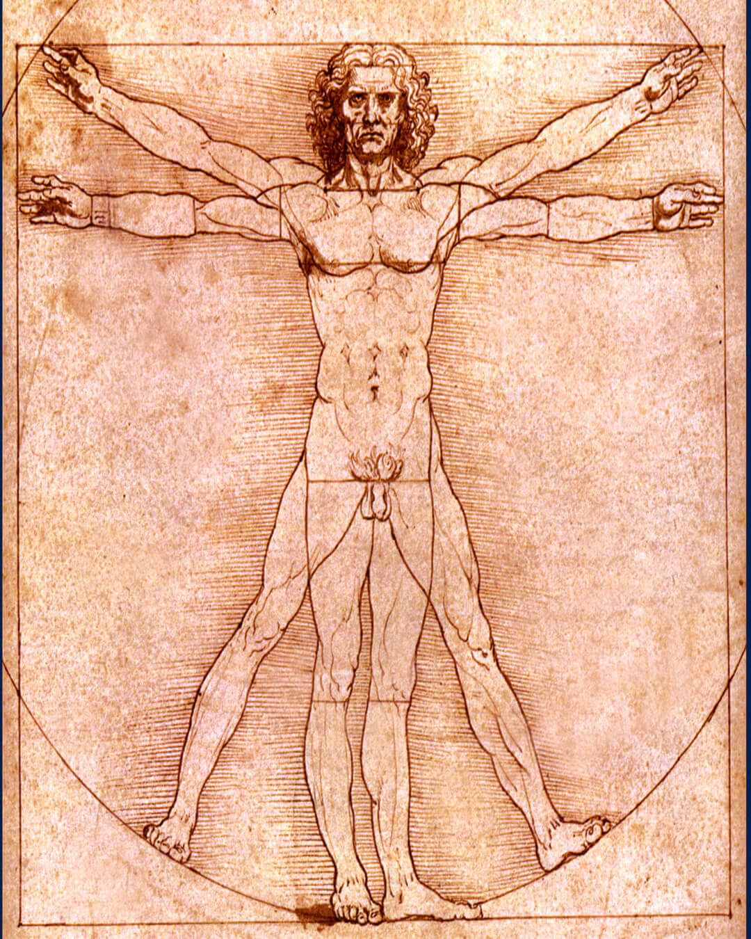 The artist aspect of hair transplant