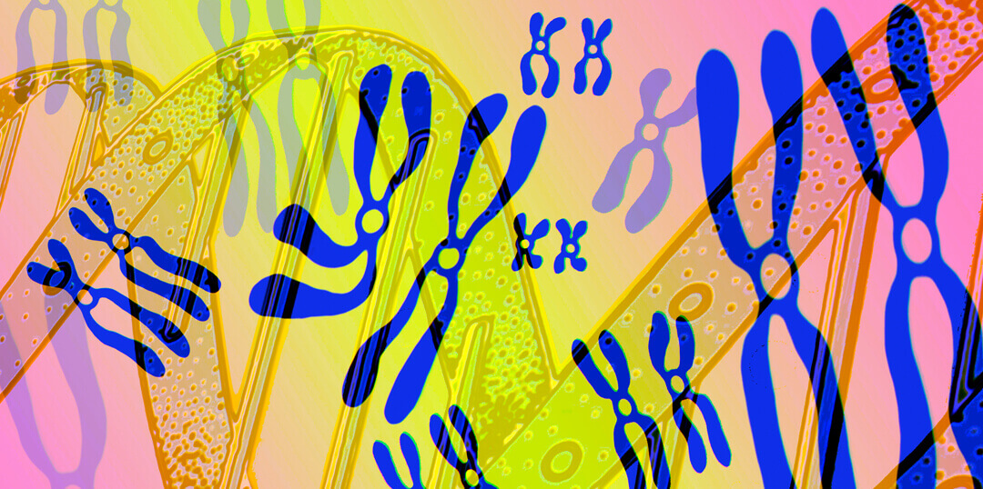 Genetics and enzymes