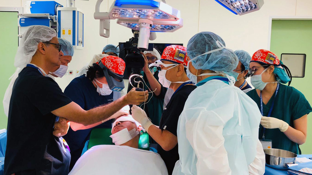 Graft insertion demonstration