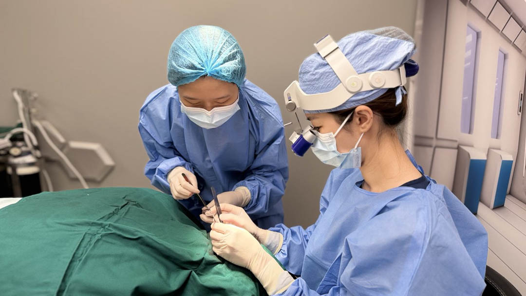 Our FUE extraction protocol