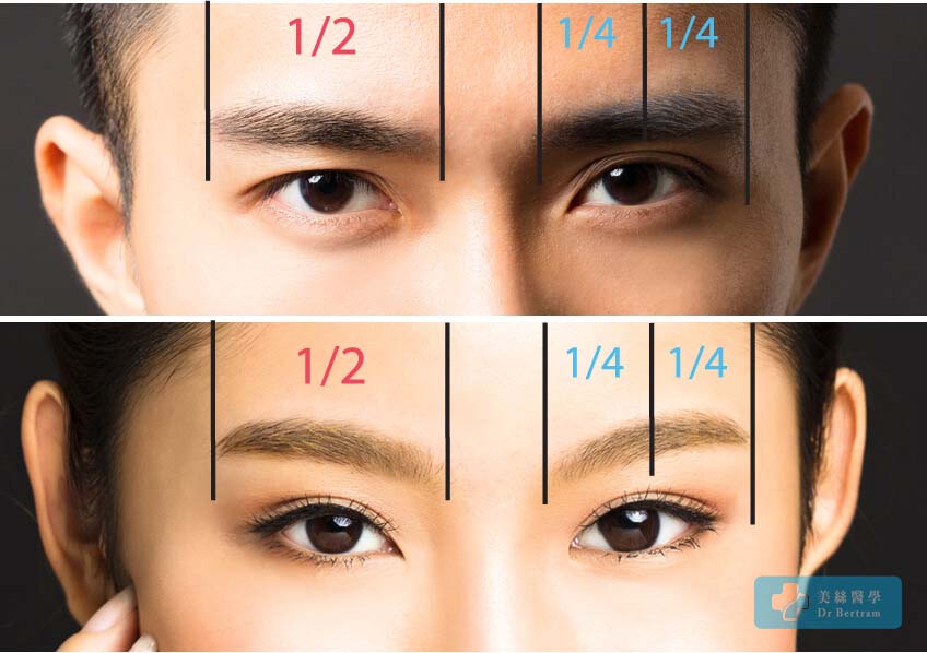 Eyebrow quadrant pricing model