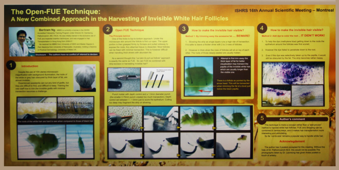 Harvest invisible hair poster